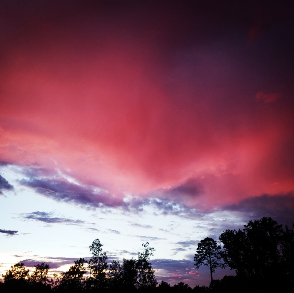 Meet your Posher, Shelly